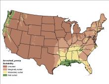 Arrowleaf Precipitation US Map