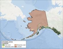 Arrowleaf Precipitation Alaska Map