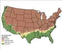 Arrowleaf Minimum Temperature US Map