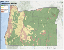 White Clover Soil Oregon Map