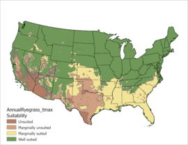 Annual Ryegrass Temperature Maximum US Map