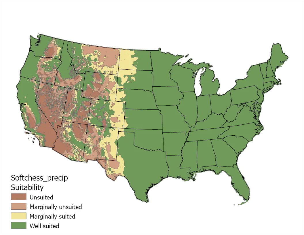 Soft chess Precipitation US Map