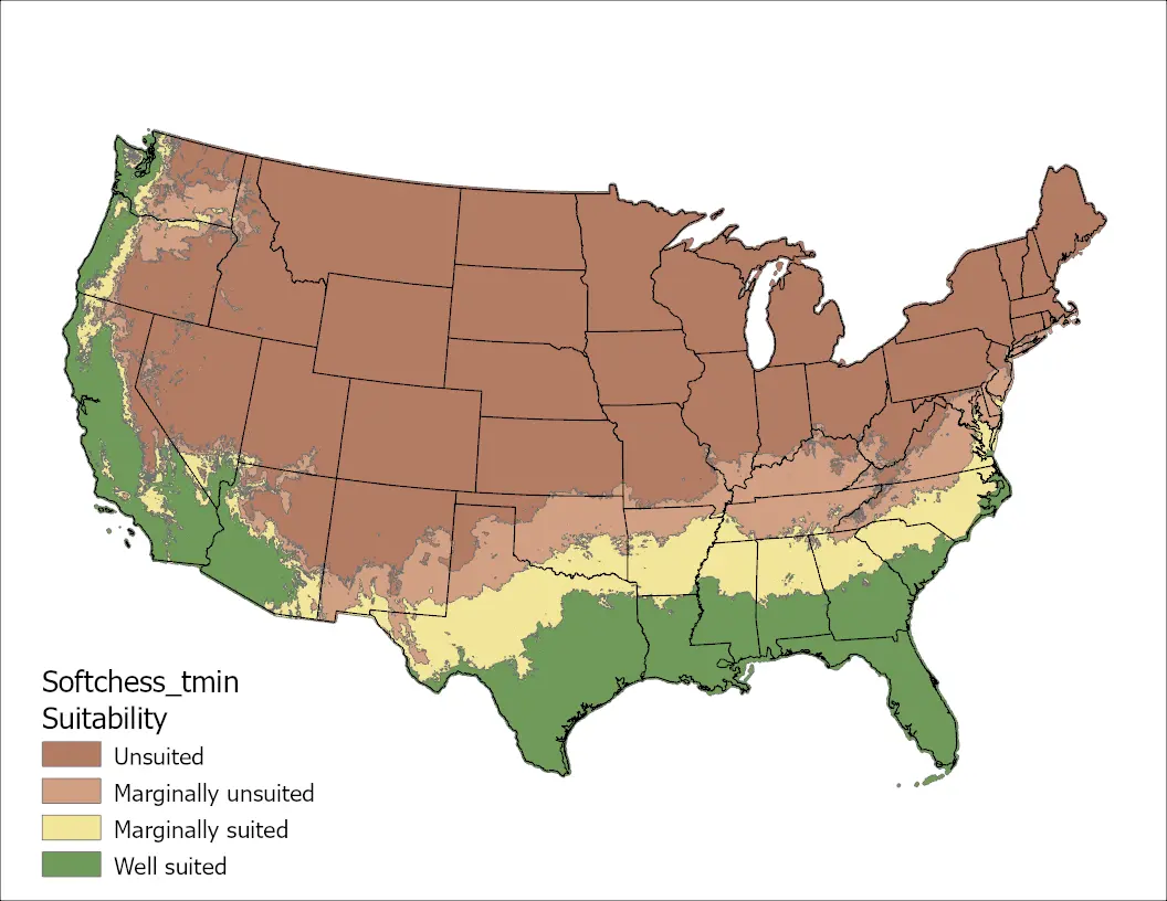 Soft chess Temperature Minimum US Map