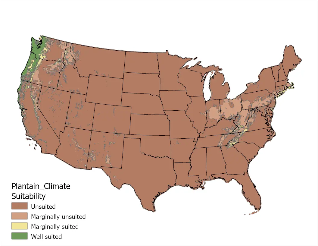 Plantain Climate US Map
