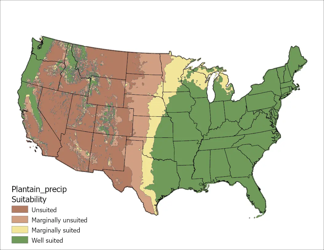 Plantain Precipitation US Map