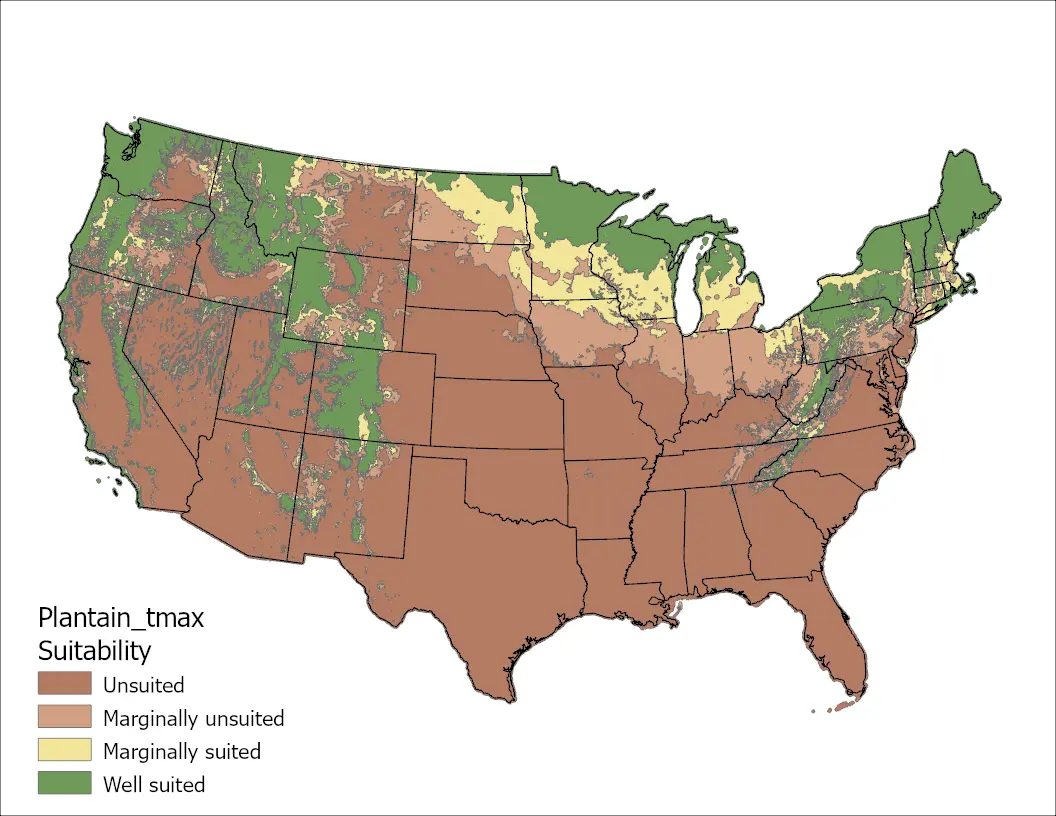 Plantain Temperature Maximum US Map
