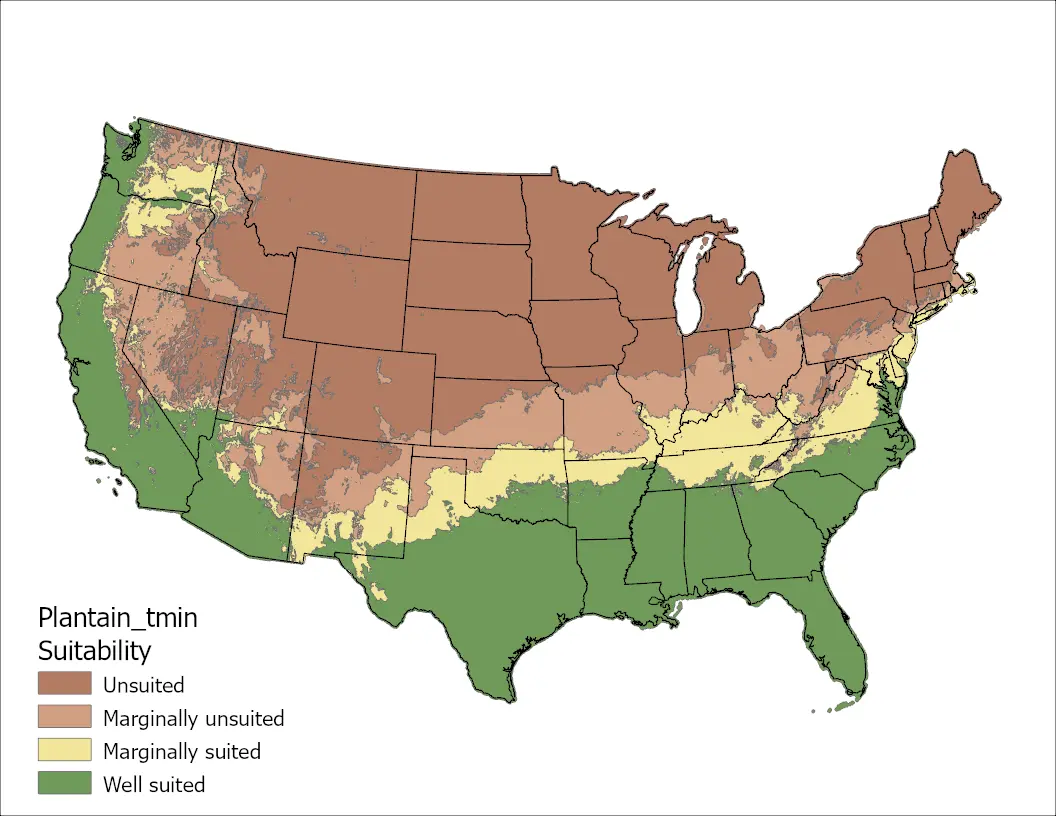 Plantain Temperature Minimum US Map