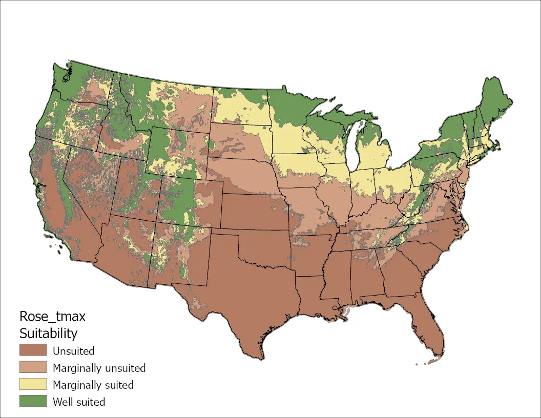 Rose Clover Temperature Maximum US Map