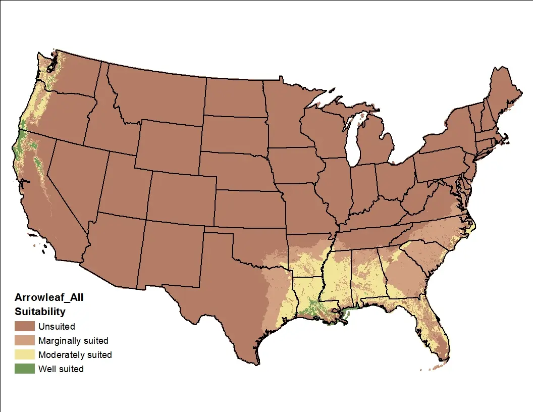 Arrowleaf Clover Climate and Soil US Map