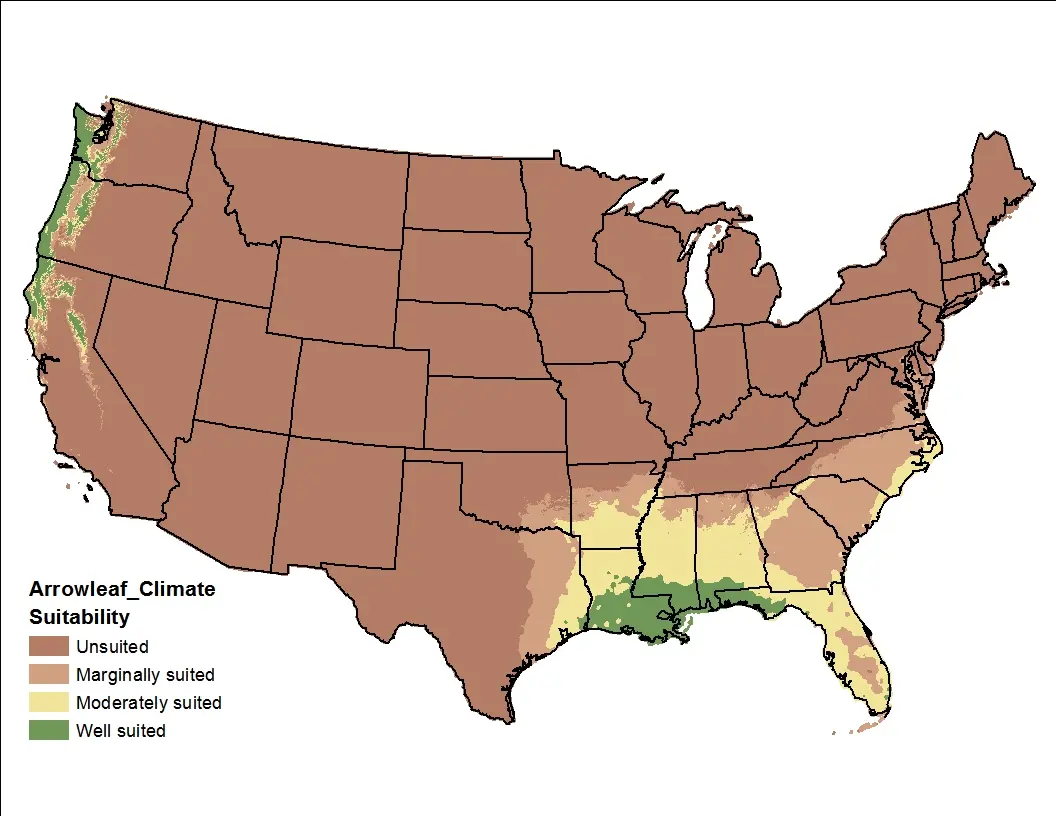 Arrowleaf Clover Climate US Map