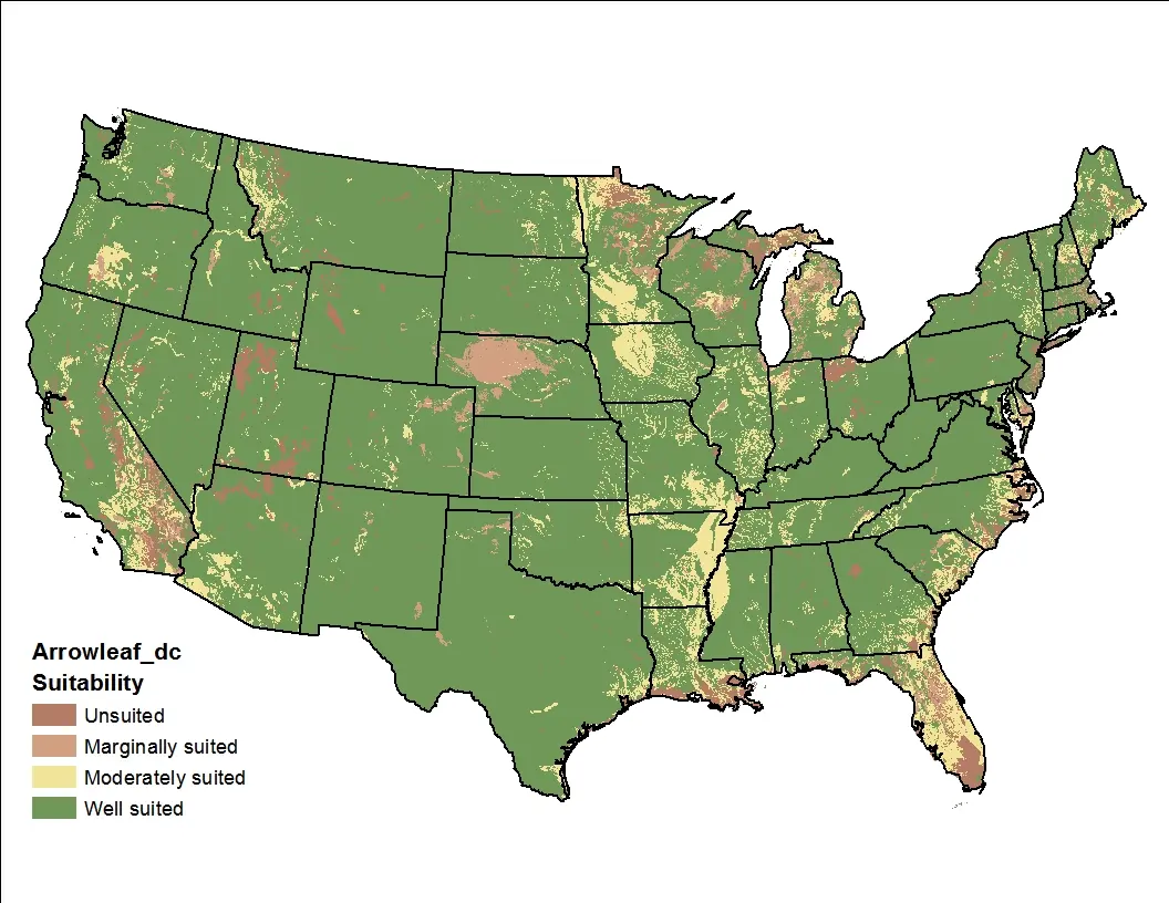 Arrowleaf Clover Drainage US Map