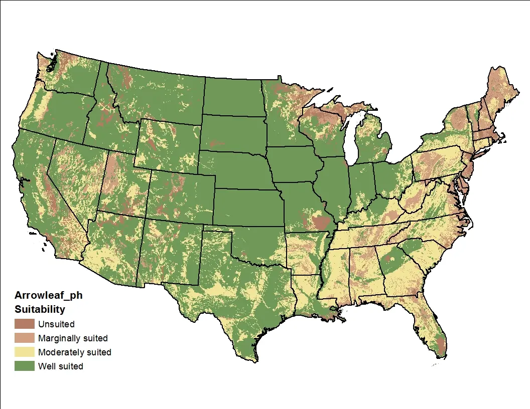 Arrowleaf Clover pH US Map