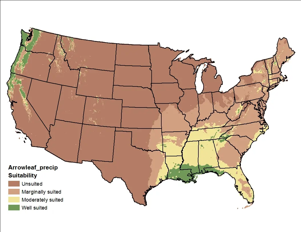 Arrowleaf Clover Precipitation US Map
