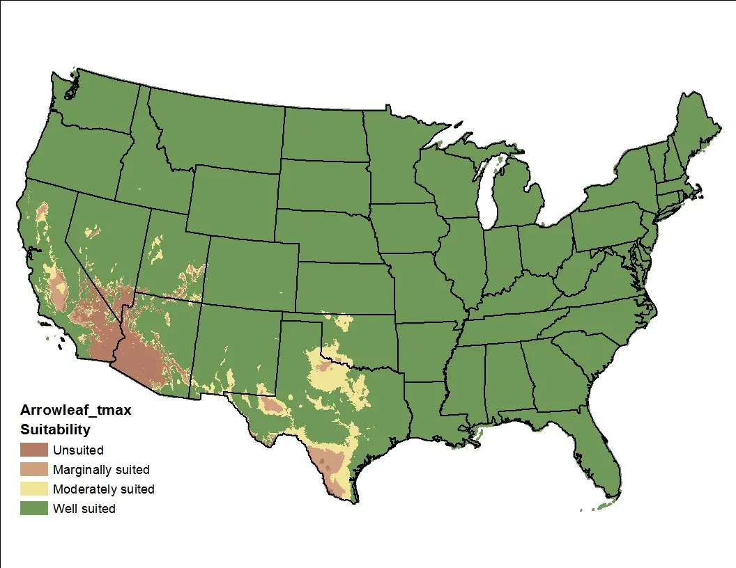 Arrowleaf Clover Temperature Maximum US Map