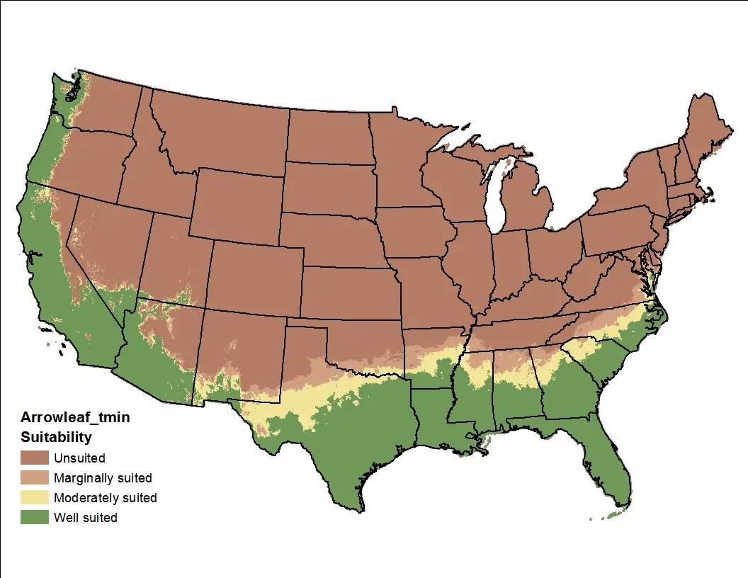 Arrowleaf Clover Temperature Minimum US Map