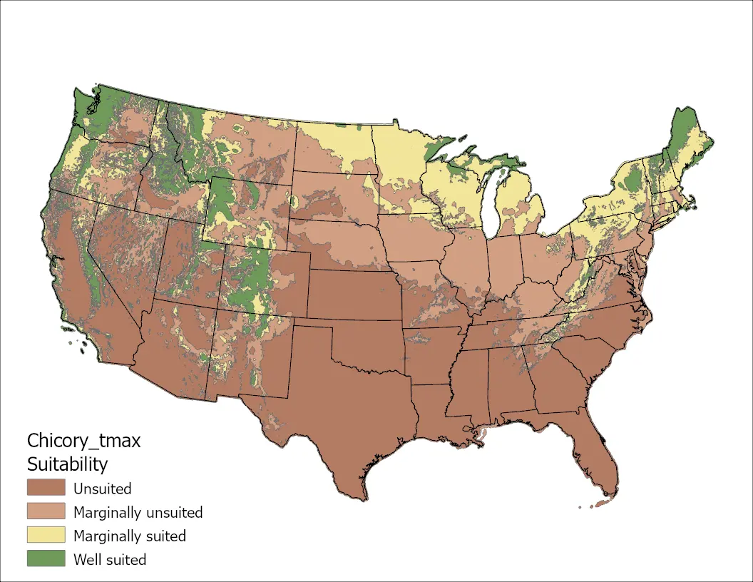 Chicory Temperature Maximum US Map