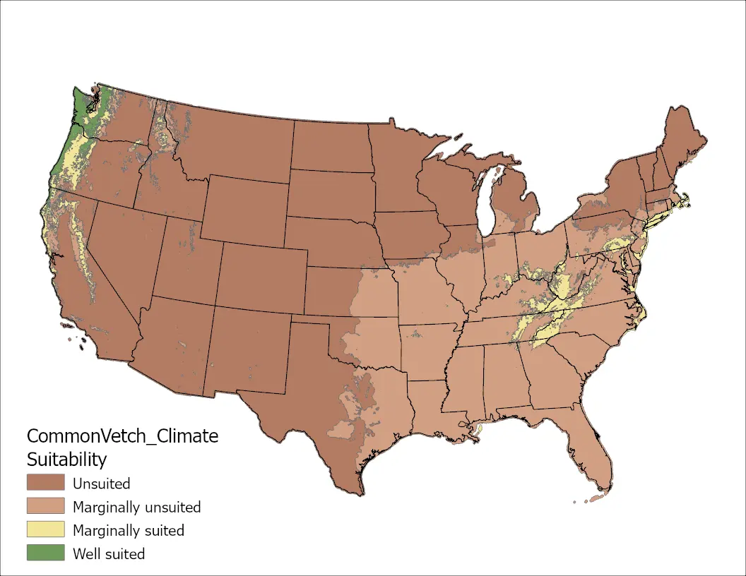 Common Vetch Climate