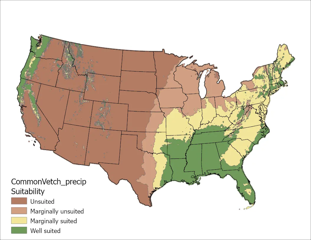 Common Vetch Precipitation