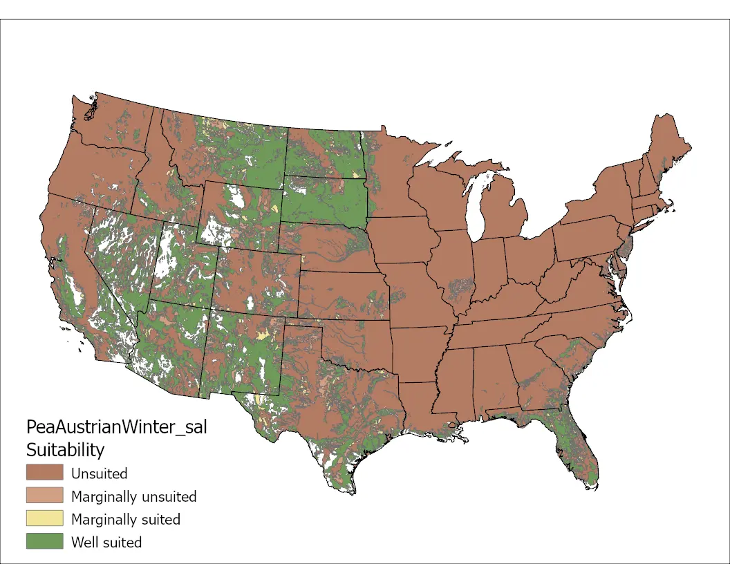 Pea (Austrian Winter) Salinity US Map