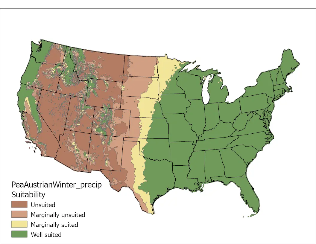 Pea (Austrian Winter) Precipitation US Map