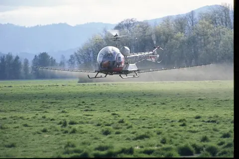 Crop dusting helicopter flying closely to short green grass