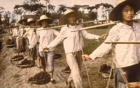 Group of people carrying food supplies using a wooden contraption