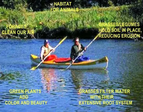Two people using a canoe together on a glistening river