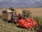 Corn harvester running through fields