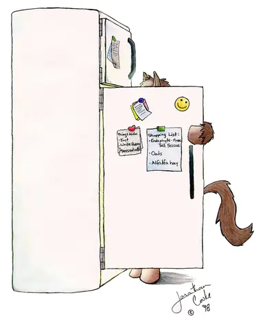 Bipedal furry animal looking into a fridge