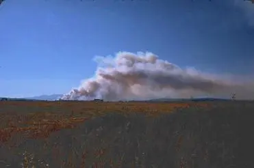 Lightly colored field with burning smoke in the distance