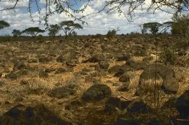 Rugged dusty terrain with many large rocks scattered throughout