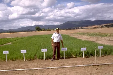 Someone standing in front of numerous rows of crops pointing towards a white sign