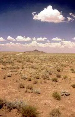 Desolate desert looking topsoil
