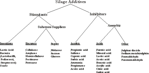 Diagram showing all additives to silos 
