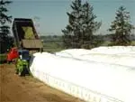 Vehicle dumping farm materials into long rows of white silage bags