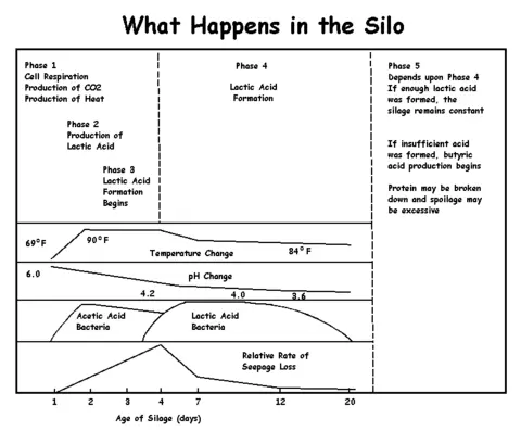 Diagram explaining the different parts of a Silo, and how it manages to work