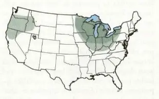 Alsike clover generalized adaptation and common use map