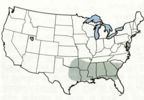 Example map showing broad areas in the United States