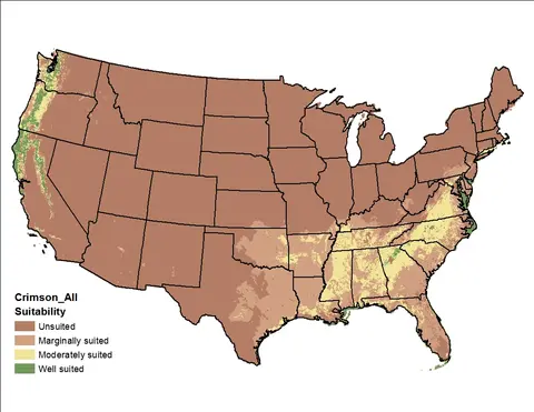 Crimson Clover Soil and Climate US Map