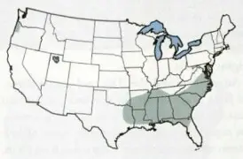 Map of the United States highlighting the southeastern region in light gray, indicating a specific geographic area.