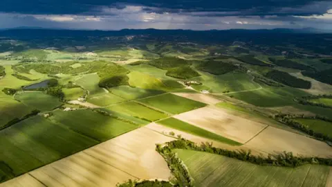 grasslands and clouds and the environment