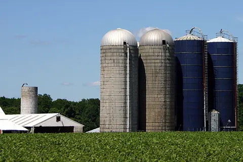 Forage silos