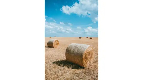 Hay wheels