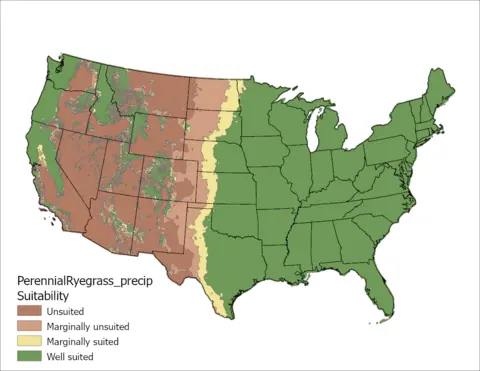 Perennial Ryegrass Precipitation US Map
