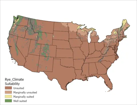 Rye Climate US Map