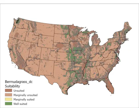 Bermudagrass- Drainage