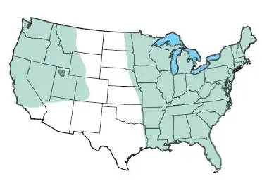 Map of the USA highlighting north eastern and western states