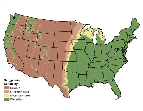 Red Clover Precipitation US Map