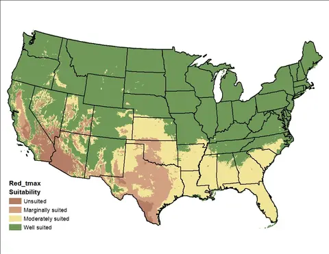 Red Clover Temperature Maximum US Map