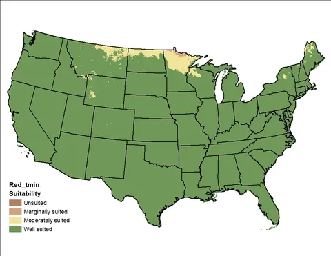 Red Clover Temperature Minimum US Map